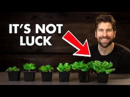 After 5 Years of Experiments, These 6 Steps Guarantee Thriving Seedlings