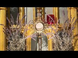 Five minutes with Jesus - 29th May 2029