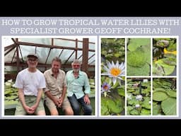 How to grow tropical water lilies with specialist grower Geoff Cochrane!