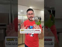 Why Do Parrots Scream When You Leave the Room?