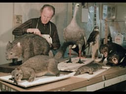 Glimpses of Craftsmen (1970)