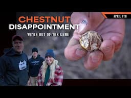 Chestnut Disappointment - We Never Made it into the Game | Dream Farm w/ Bill Winke
