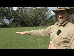 How to find your Boomerang Sweet spot
