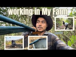 Building a Farm Pipeline Hard Work Pays Off