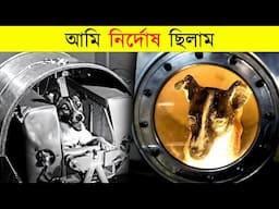 মহাকাশে যাওয়া প্রথম কুকুরের করুন কাহিনী😭|| Laika The space Dog