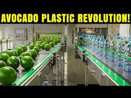 Mind Blowing Discovery Makes Plastic From Avocado Waste!