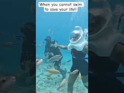 sea trek underwater walking tour curacao #youtubeshorts #seatrek #solotrip #solotravel #curacao