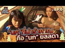 เต็นท์นางกอ EP.6 | มะเดี่ยว x นก ยลลดา | นก ที่น่ารำคาญ