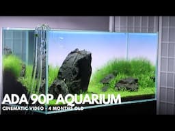 ADA 90P Aquarium After 4 Months - 4K Cinematic