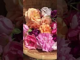 Homemade Natural Medicines - Gentle Healing Food Forest Harvest #medicinalplants #foodforest