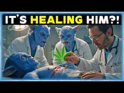 Alien Doctors Gave Up… Then a Human Rubbed an Earth Leaf on the Wound | Best HFY Stories