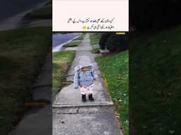 Stay careful at all times