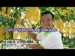 TÚI BAO TRÁI BƯỞI HÀ BƯỞI NGON