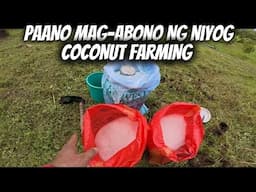 PAANO MAG-ABONO NG NIYOG.