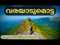 വരയാടുമൊട്ട ട്രെക്കിങ്ങ് | Varayadu Motta Trekking | Toughest Trekking In Kerala