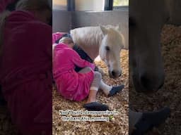 When you wake up and find 2 sleepy ponies in the barn 🐴