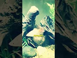 Water Changes🌿Healthy Aquarium Plants