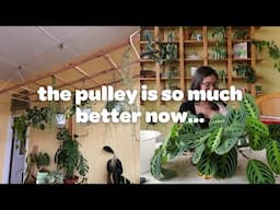 PLANT CHORES | more self watering pots, and repotting houseplants!