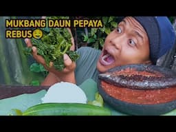 MUKBANG !!! REBUSAN DAUN DAN BATANG PEPAYA , SAMBALTERASI 🤤🤤🤤