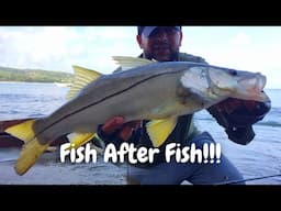 FISH AFTER FISH AFTER FISH IN TOBAGO - CRAZY Inshore Fishing Action In The Caribbean From The Beach