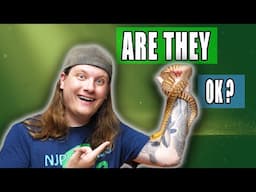 What's Wrong with my Woma Pythons?