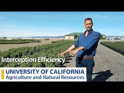 Interception Efficiency
