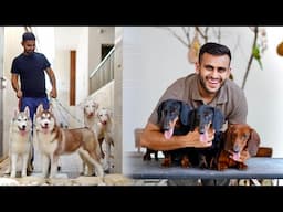 Indian Doberman (Rajapalayam dog) & Dachshound in Punjab 😱