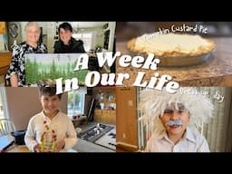 A Week Living Like Us: Daily Adventures Revealed, HOMEMADE PUMPKIN CUSTARD PIE