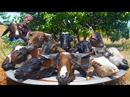 VILLAGE FAMOUS MUTTON HEAD CURRY | ஆட்டு தலை கறி |Grandpa Home Made Style Mutton Recipe| Indian Food