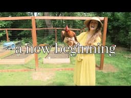 We're starting a farm in our backyard (year one progress)