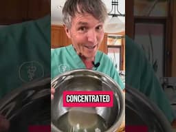 New DIY Flea & Tick Spray Recipe for Dogs – Safe & Natural!
