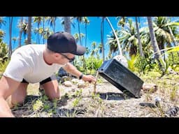 Catching Wild Chickens… How Hard Can It Be?