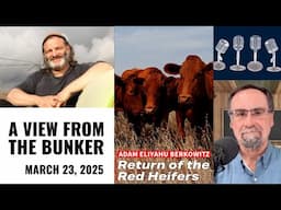 VFTB 3/23/25: Return of the Red Heifers
