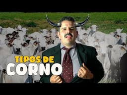Tipos de Cornos  - APÓSTOLO ARNALDO