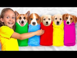 Conheça os Animais Mais Fofos em uma História Divertida para Crianças!