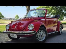What Makes the 1975 Beetle So Special After 50 Years?