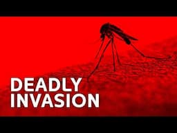 The Invasive Species You Don't Want to Meet