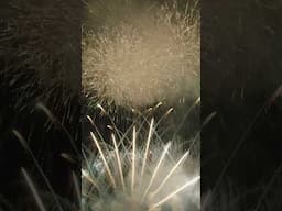 二尺玉入り音楽花火 miwa ヒカリへ | Japanese Music Synchro Fireworks Display with 24 inch shell 相馬野馬追 おだか火の祭