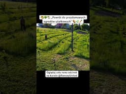 👨‍🌾🌳🏡 „Powrót do przydomowych ogrodów użytkowych” 🥔🌿🥕 #ogród #ogrodnictwo #rolnictwo 🇵🇱