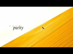 The Minimalism of Dune