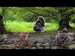 HUNTING Turkeys in Unique TERRAIN! (3 Guys in One Setup)
