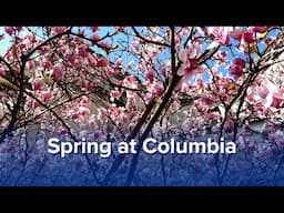 The Start of Spring at Columbia