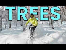 How to Snowboard in Trees