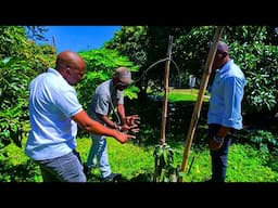 How He Makes Thousands of USDs on JUST 1 Acre piece of land