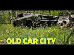 Classic car junkyard Old Car City USA 4400 classic cars old trucks & nature walk forgotten classics