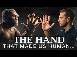 The Incredible Evolution of the Human Hand...