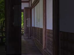 (春夏秋冬)京都・常照寺の四季風景[4seasons in kyoto] #kyoto #そうだ京都いこう #japan