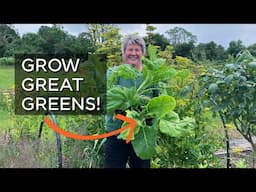 Top Tips for Planting Cabbage and Kale | Homegrown Food