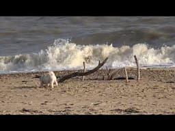 00125 First Test of Sony fdr-ax100 HD Camcorder at Clacton On Sea Essex Beach FEB 2025 Part 2