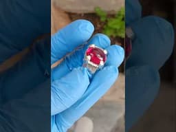 Hand Made Ring Design For Mans